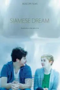 Siamese Dream_peliplat
