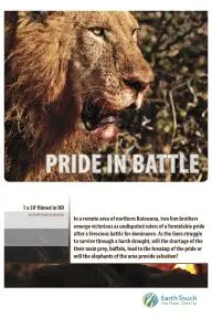 Pride in Battle_peliplat