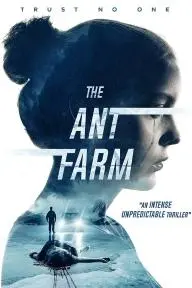 The Ant Farm_peliplat