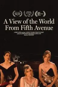 A View of the World from Fifth Avenue_peliplat