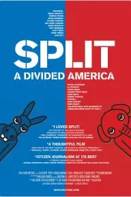 Split: A Deeper Divide_peliplat