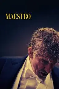 Maestro_peliplat