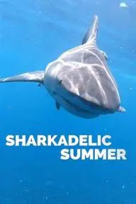 Sharkadelic Summer_peliplat