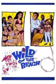Wild on the Beach_peliplat