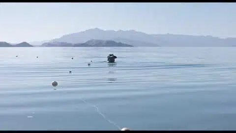 Trailer UNA CORRIENTE SALVAJE (A WILD STREAM) de/by Nuria Ibañez Castañeda