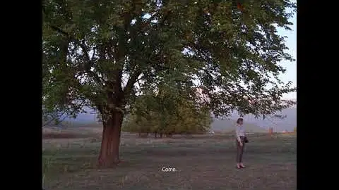 Clip
