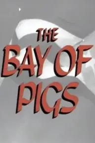 The Bay of Pigs_peliplat