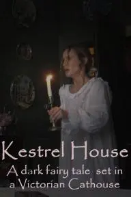 Kestrel House_peliplat