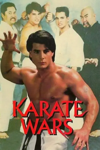 Karate Wars_peliplat