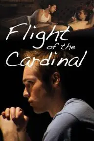 Flight of the Cardinal_peliplat
