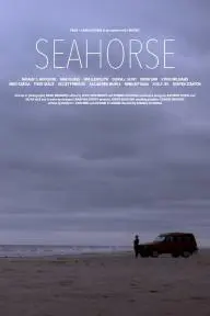 Seahorse_peliplat