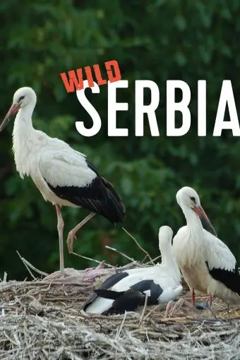 Wild Serbia_peliplat