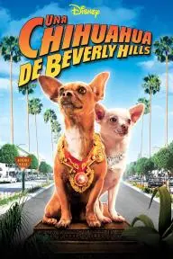 Una Chihuahua de Beverly Hills_peliplat