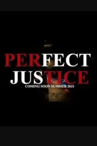 Perfect Justice_peliplat