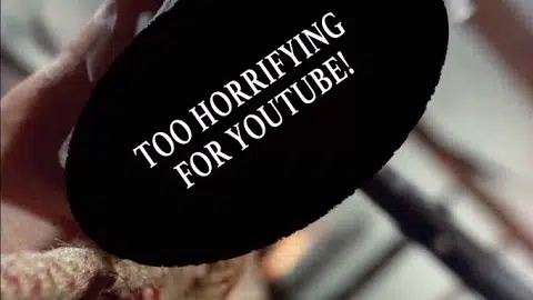 The Arrow Video Story (Too Horrifying for YouTube Edition)