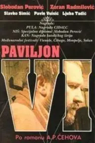 Paviljon broj VI_peliplat