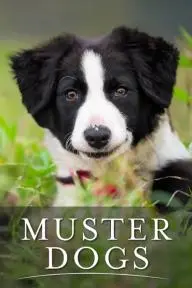 Muster Dogs_peliplat
