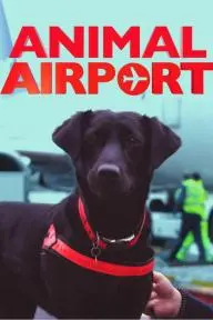 Animal Airport_peliplat