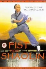 Fist from Shaolin_peliplat