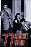 77 Sunset Strip_peliplat