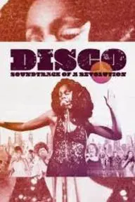 Disco: Soundtrack of A Revolution_peliplat