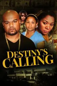 Destiny's Calling_peliplat