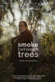 Smoke Between Trees_peliplat