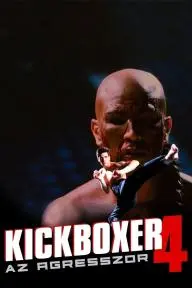 Kickboxer 4: The Aggressor_peliplat