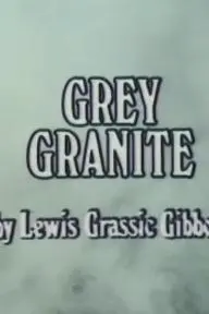 Grey Granite_peliplat