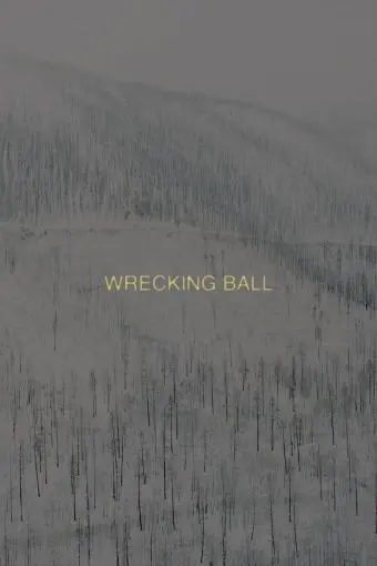 Wrecking Ball_peliplat