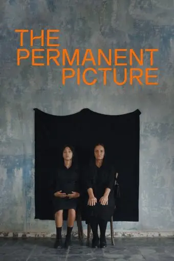 The Permanent Picture_peliplat