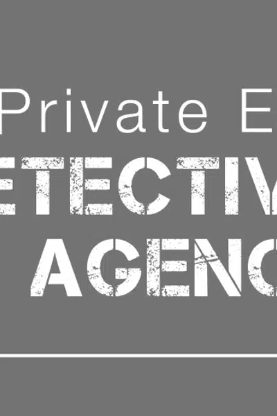 Private Eye: Detective Agency
