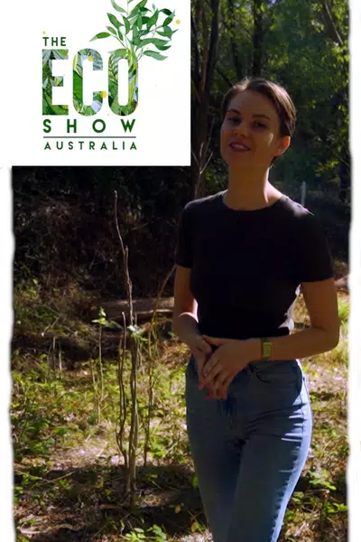 The Eco Show