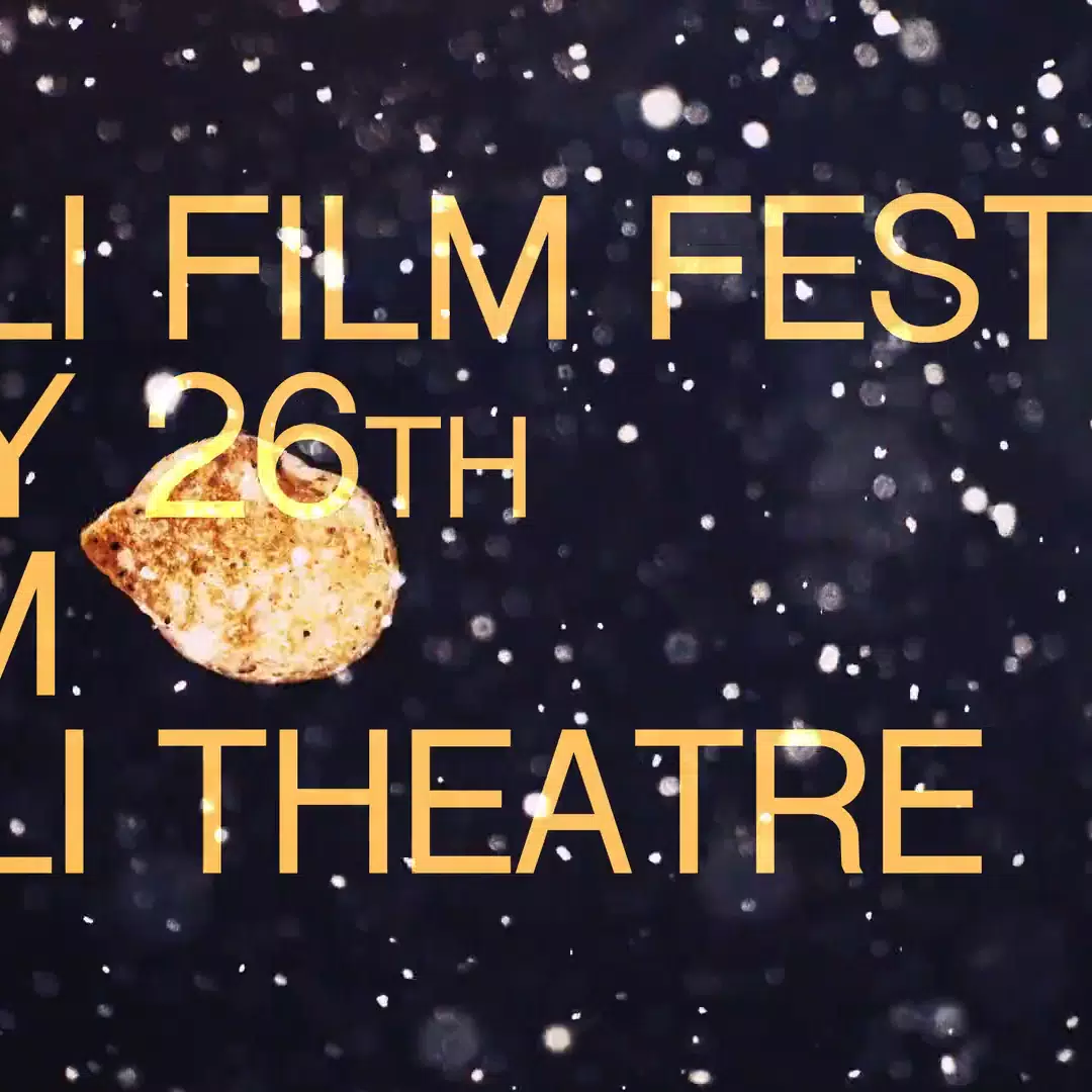 THE GOOSE - (GIMLI TRAILER)