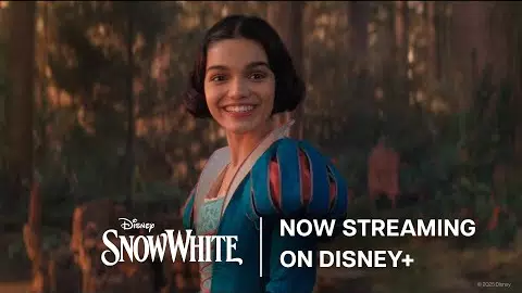 Now Streaming On Disney