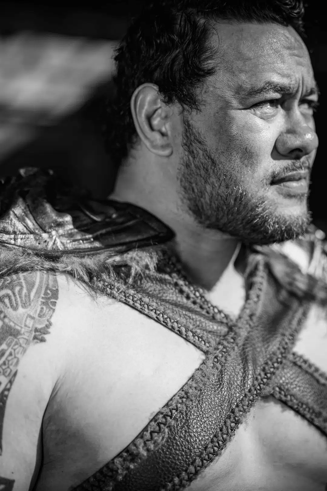 Maua Fuifui