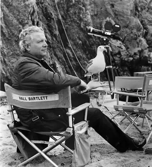 Hall Bartlett