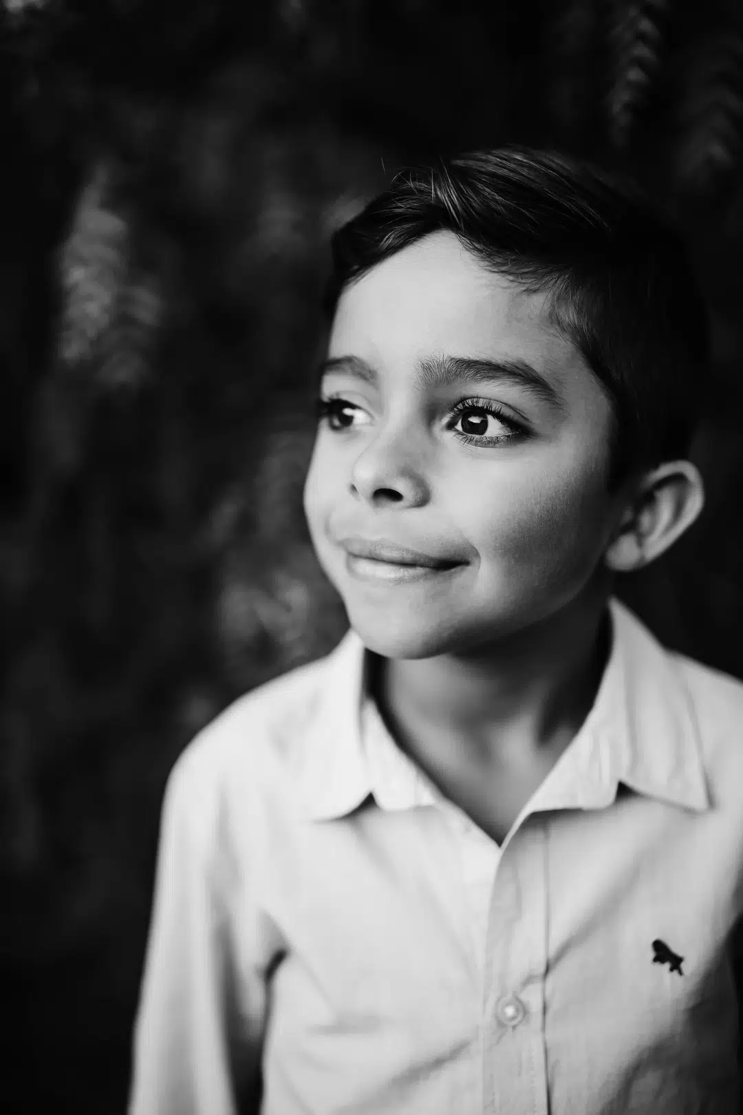 Lincoln Reichel