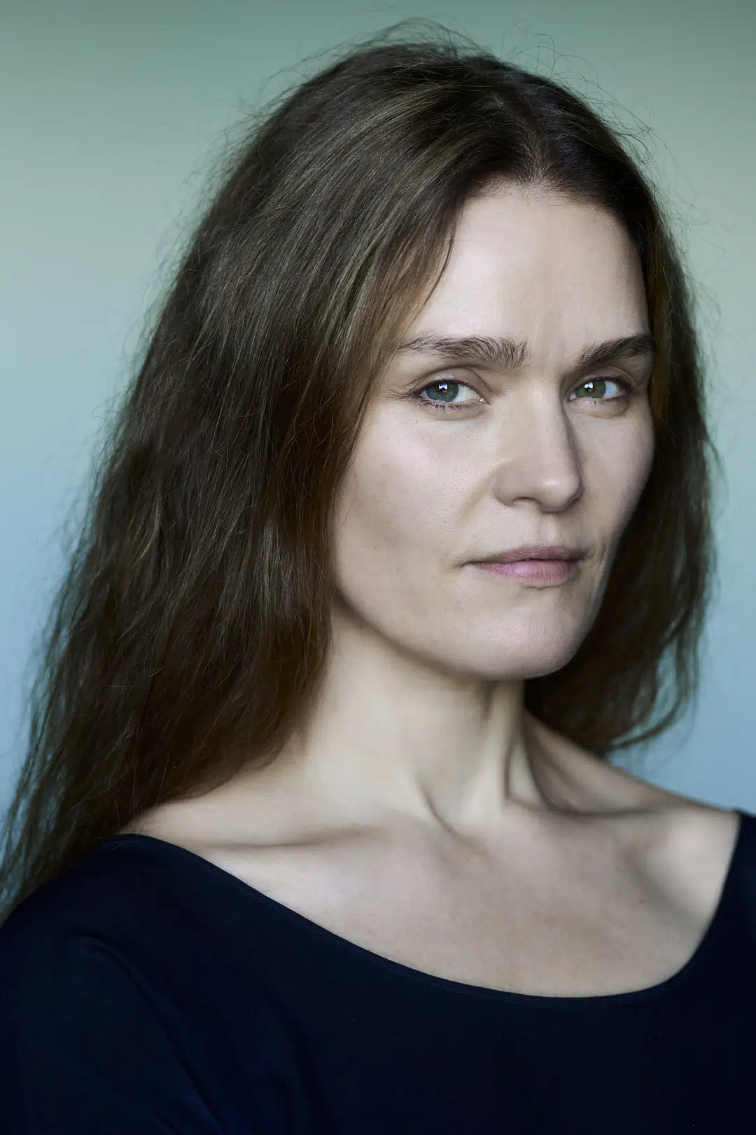 Vigdís Hrefna Pálsdóttir