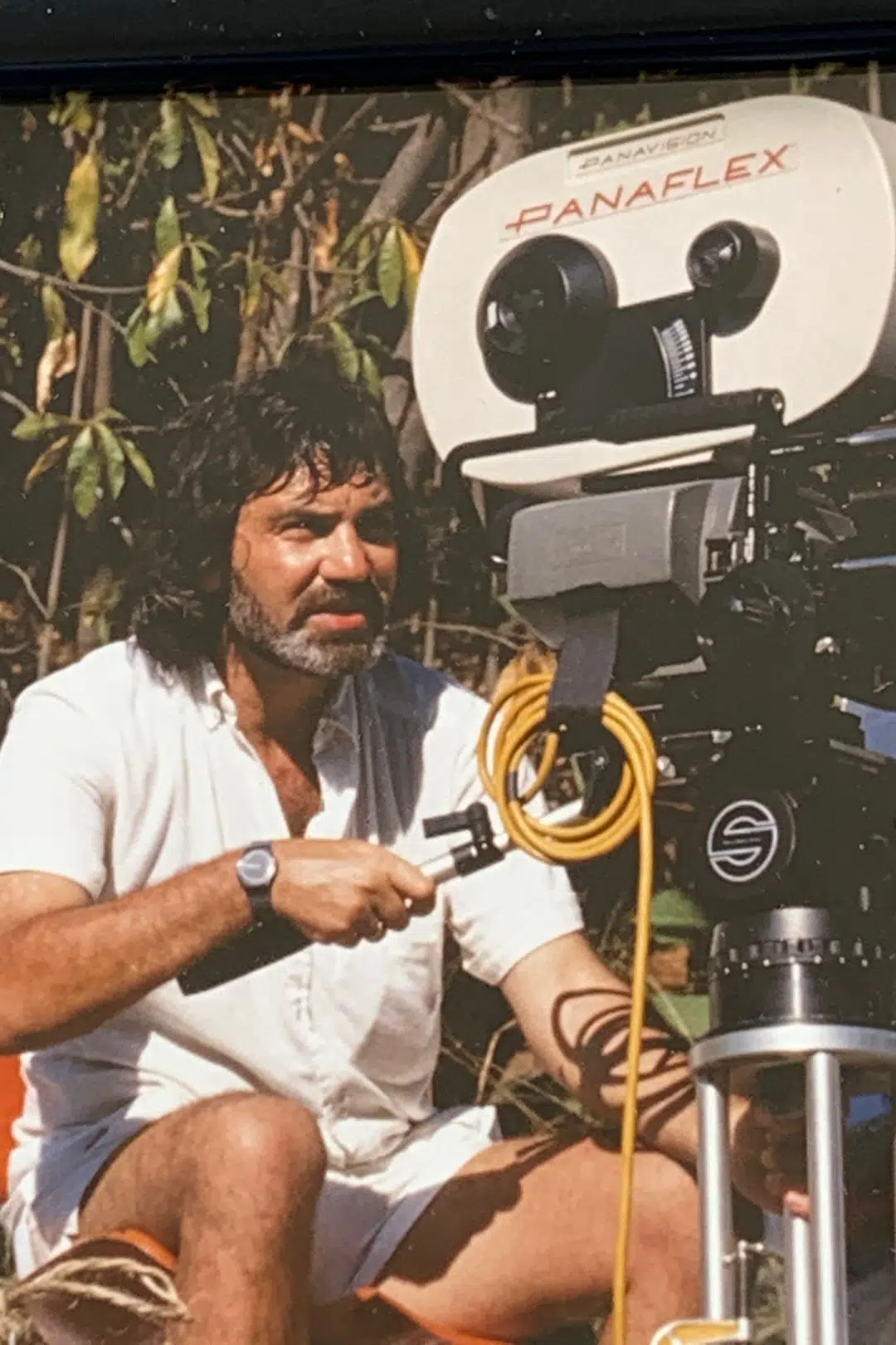 David Green