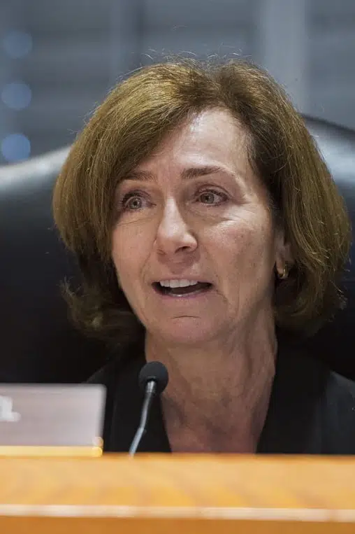 Ann Ravel