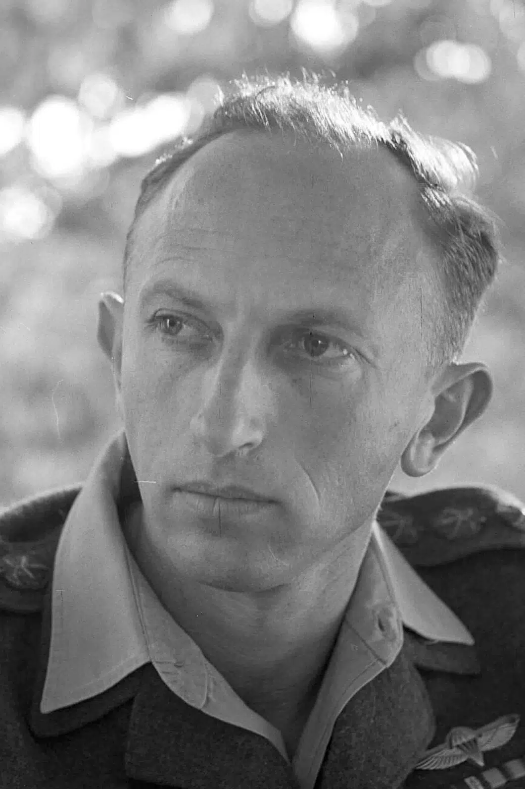 Zvi Zamir