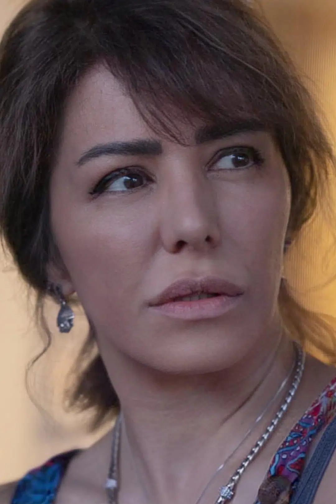 Tolouei Shabnam