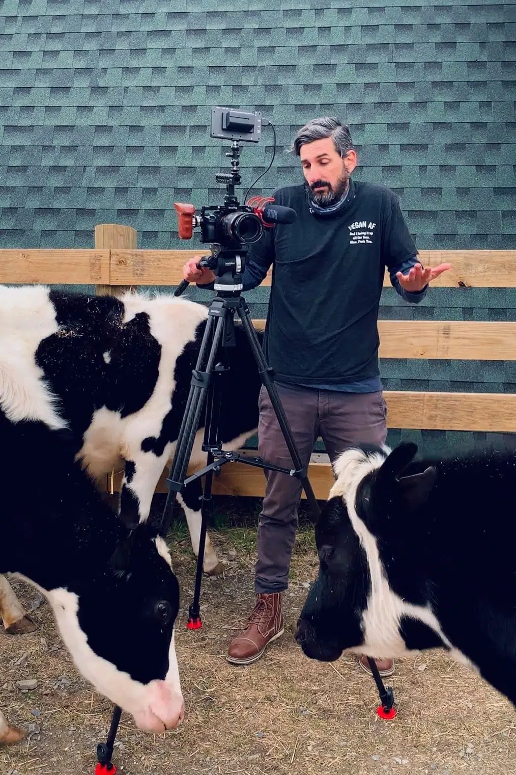 Jordan Ehrlich