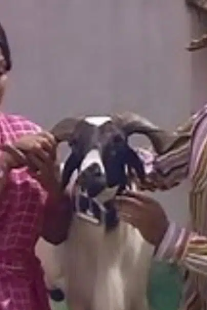 Sripriya