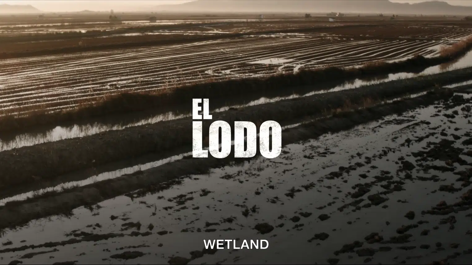 WETLAND - Trailer