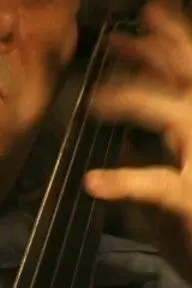 The Cellist_peliplat
