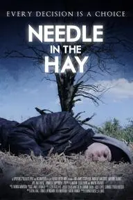 Needle in the Hay_peliplat