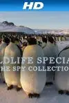 Wildlife Specials: The Spy Collection_peliplat