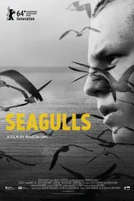 Seagulls_peliplat